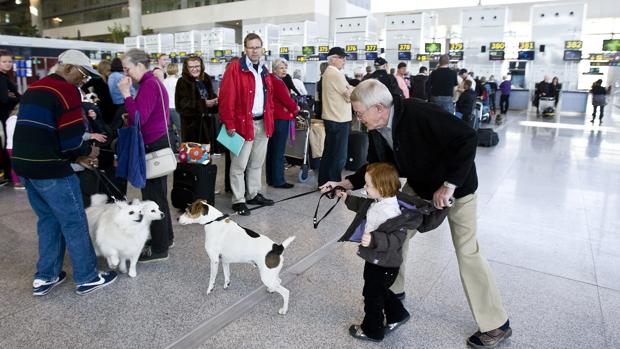 Turistas británicos en el Aeropuerto de Málaga