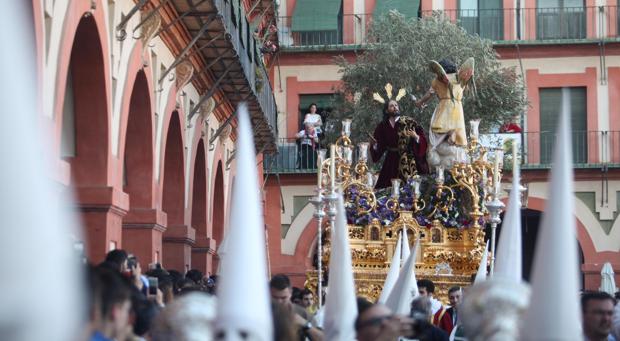 Hermandad del Huerto durante su procesión el pasado Domingo de Ramos