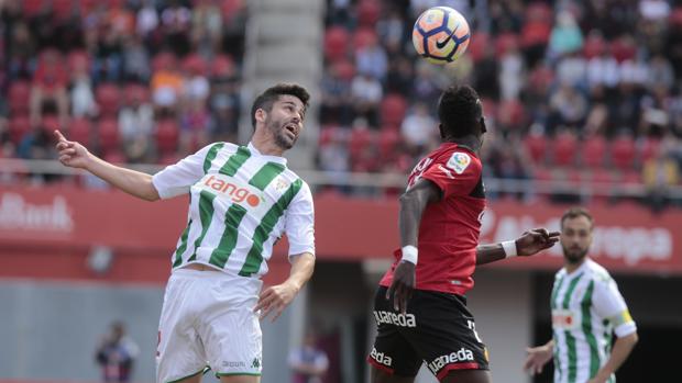 Caro, con Lago Junior, que hizo el 1-0, en un momento del Mallorca-Córdoba , este domingo en el Iberostar Estadio