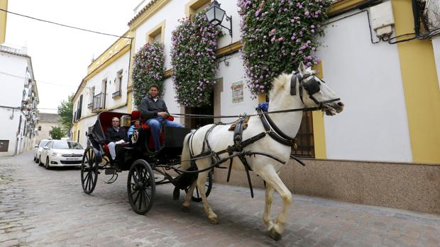 La casa de la calle Diego Méndez, 5 ganó el año pasado el primer premio