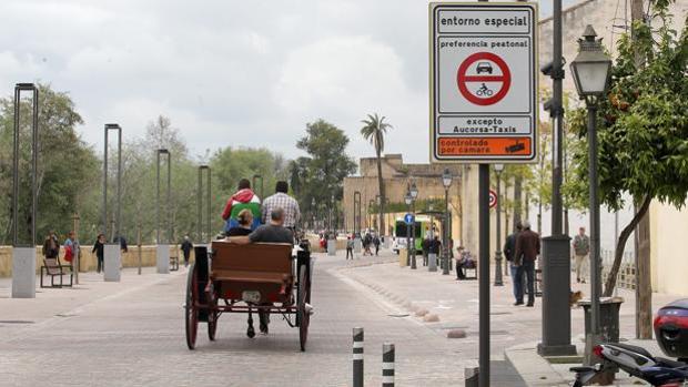 Un coche de caballos por Ronsa de Isasa