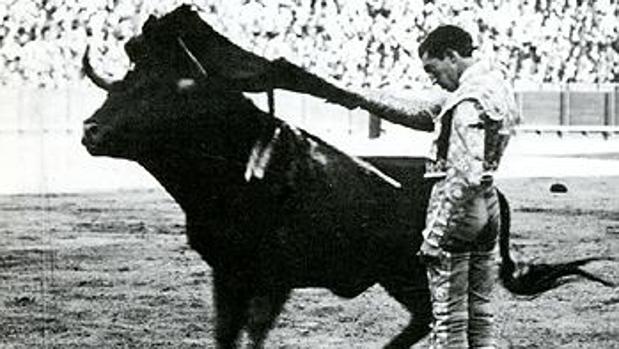 Manolete, durante una corrida en Sevilla