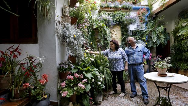 Patio de San Juan de Palomares, 8, ganador de la edición del año pasado