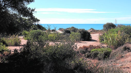 El paraje de Marbella donde se instalará el futuro resort