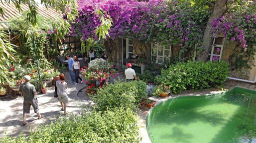 Patio de Plaza de Las Tazas, 11