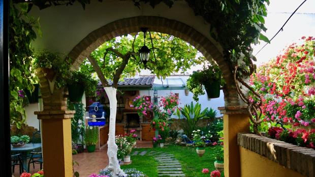 Patio de El Centro, 22 del Carpio que ha ganado el concurso en la categoría de Patios