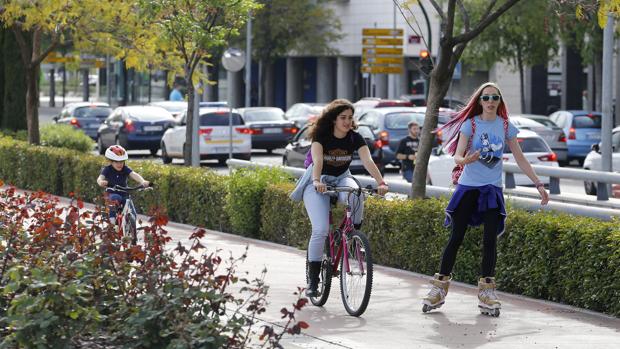 Una mujer trasladada al Reina Sofía de Córdoba tras atropellarla un tironero