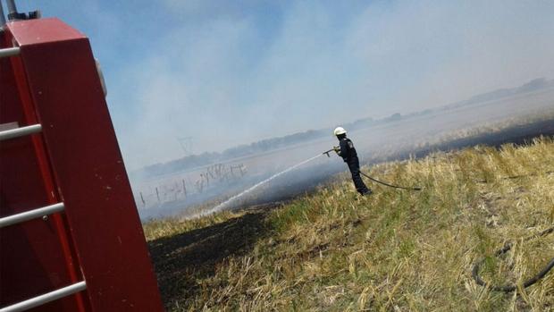 Un incendio calcina más de 250 hectáreas de trigo en el Cortijo del Carrascal, junto a la N-432