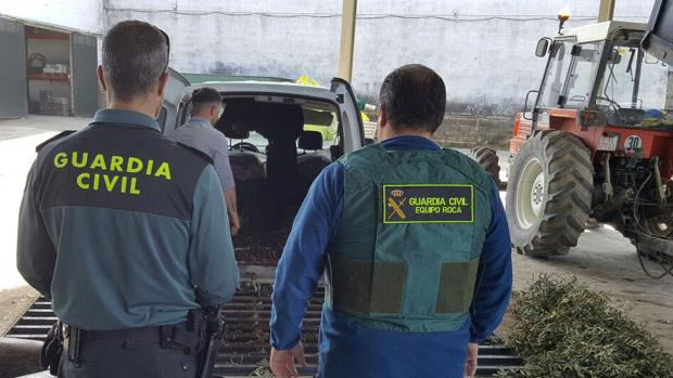 Los agentes de la Guardia civil durante la invesigación de los robos de aceituna