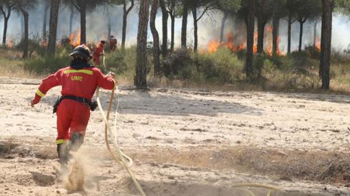 Efectivos de la Unidad Militar de Emergencias trabajando en una zona de pinares