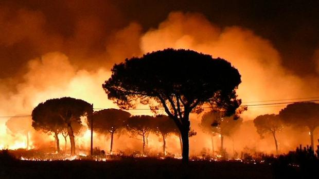 Evacuadas más de dos mil personas tras el incendio forestal declarado en el entorno del Parque de Doñana