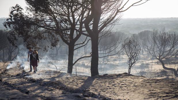 Controlado un nuevo incendio declarado en un paraje de Almonte