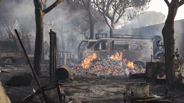 Restos del fuego que ha arrasado algunas zonas cercanas a Doñana