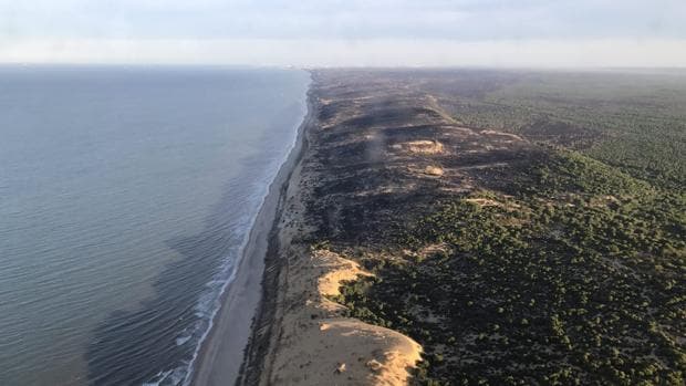 Vista aérea de la zona afectada por el incendio entre las localidades de Mazagón y Matalascañas