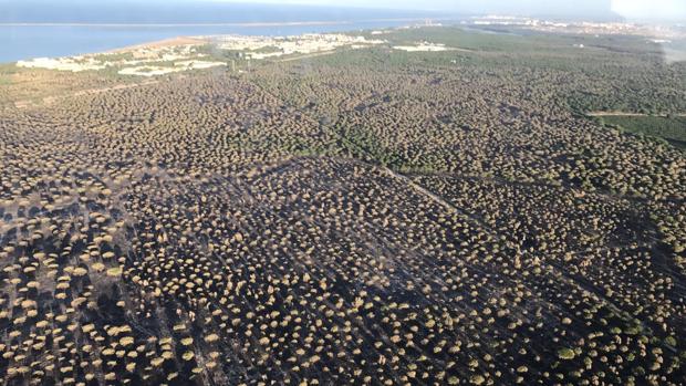 Los efectos del incendio forestal en el entorno de Doñana, a vista de pájaro