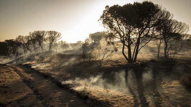 Paraje de Cuesta Maneli tras el incendio