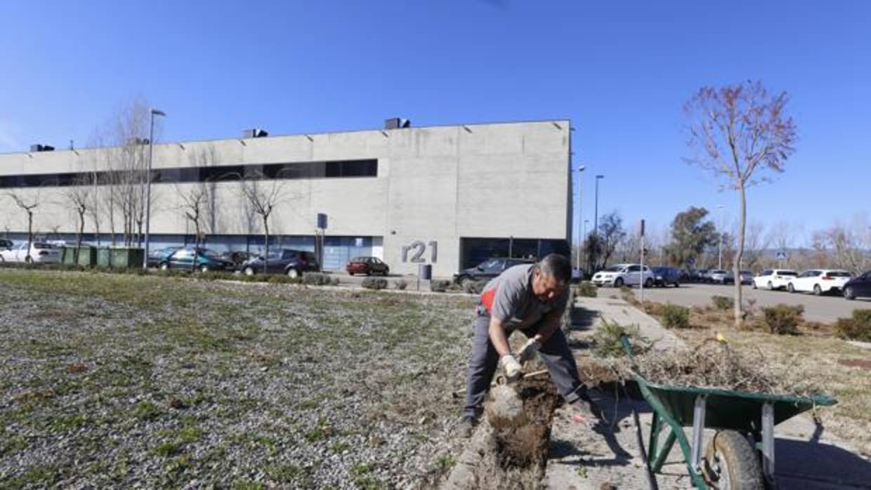 Un operario trabaja en labores de jardinería junto al edificio central del tecnoparque