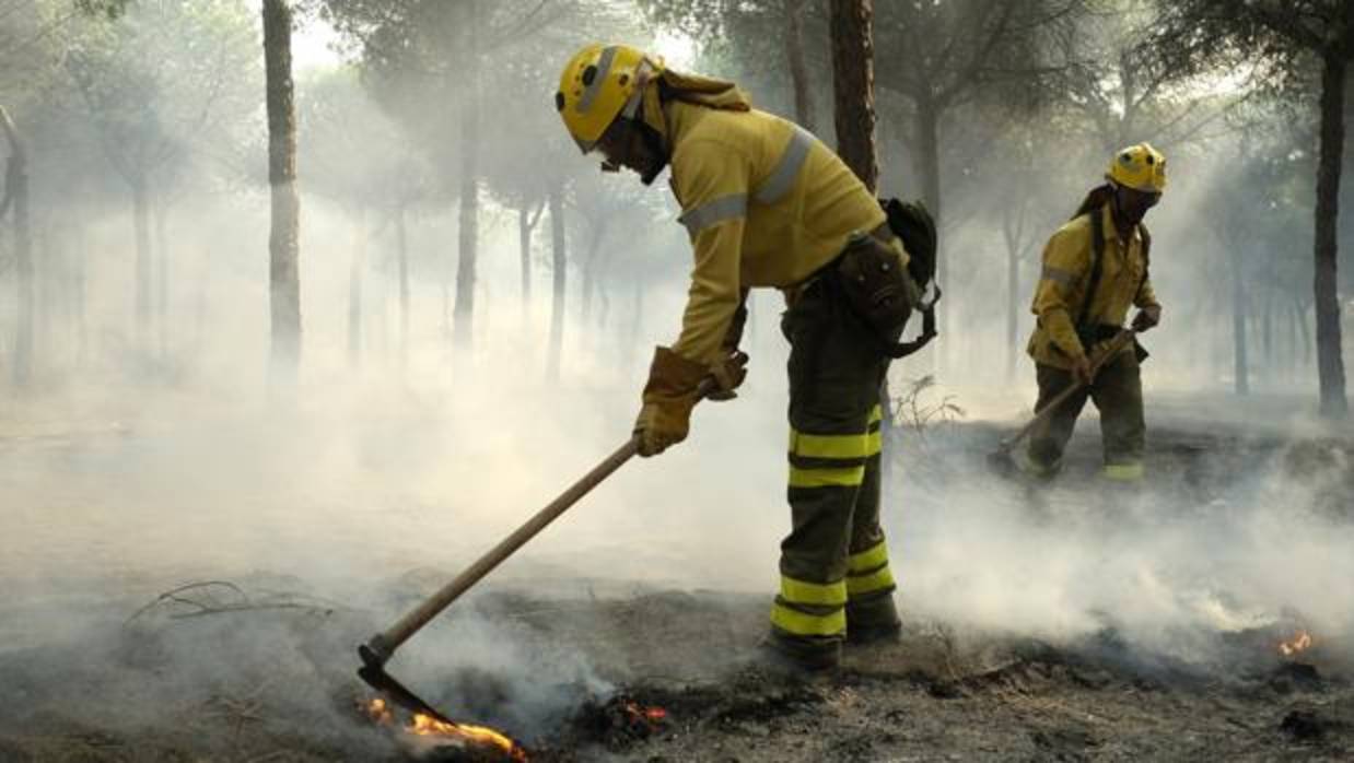 Un incendio se ha declarado en un paraje de Almonte