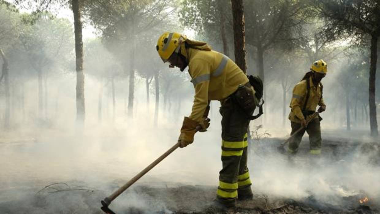 Bomberos del Infoca trabajando en la extinción del incendio que afectó al espacio natural de Doñana