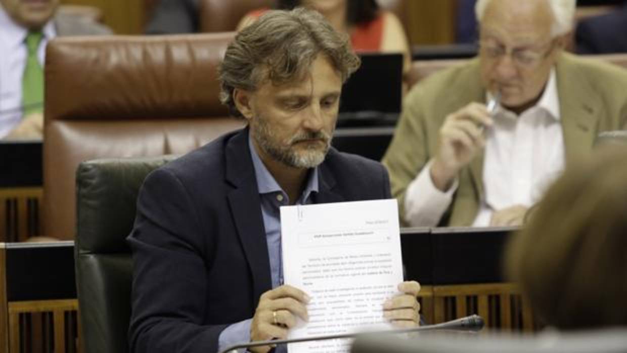 El consejero de Medio Ambiente, José Fiscal, en el Parlamento andaluz