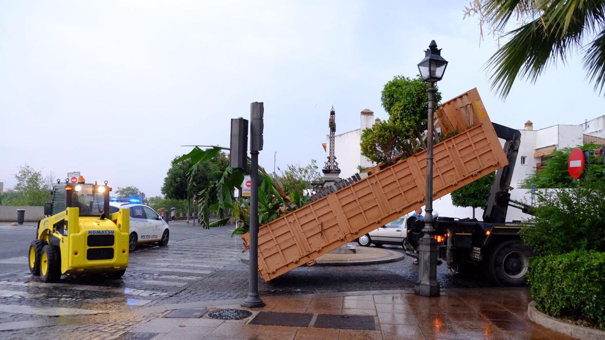 Retirada de maceteros en la zona de la Ribera