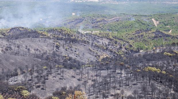 El fuego ha comenzado en una zona cercana a donde empezó el fuego hace una semana