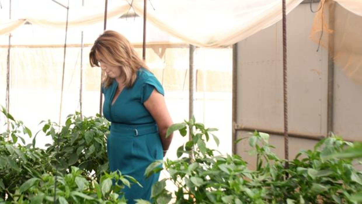 La presidenta Susana Díaz durante una visita a un centro de atención social en Alcalá de Guadaíra