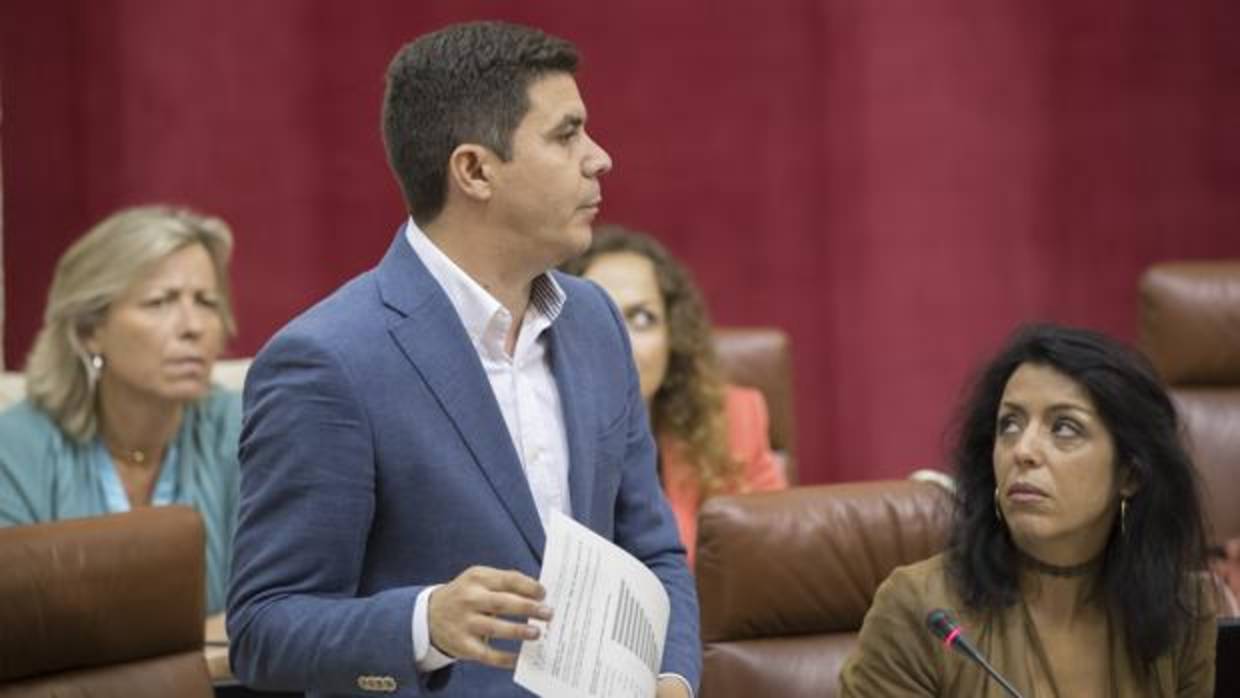 El portavoz adjunto de Ciudadanos en el Parlamento, Sergio Romero