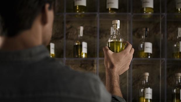 El aceite de oliva es el producto estrella de la Dieta Mediterránea