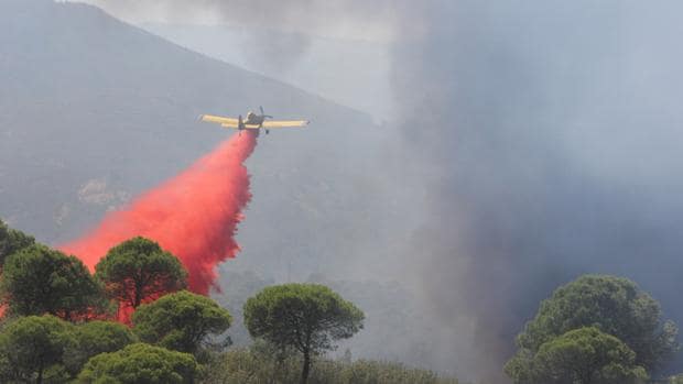 Efectivos del Infoca trabajan en la extinción de un incendio forestal en Calañas