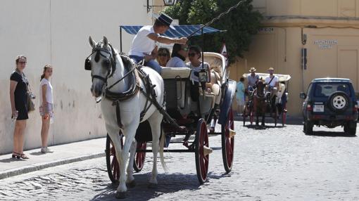 Un grupo de turistas durante una de las rutas de los coches de caballos