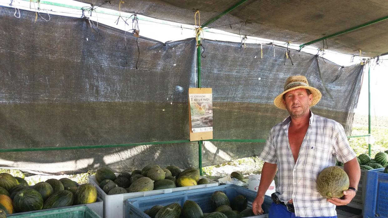 José Gil junto a los melones que cultiva en Córdoba