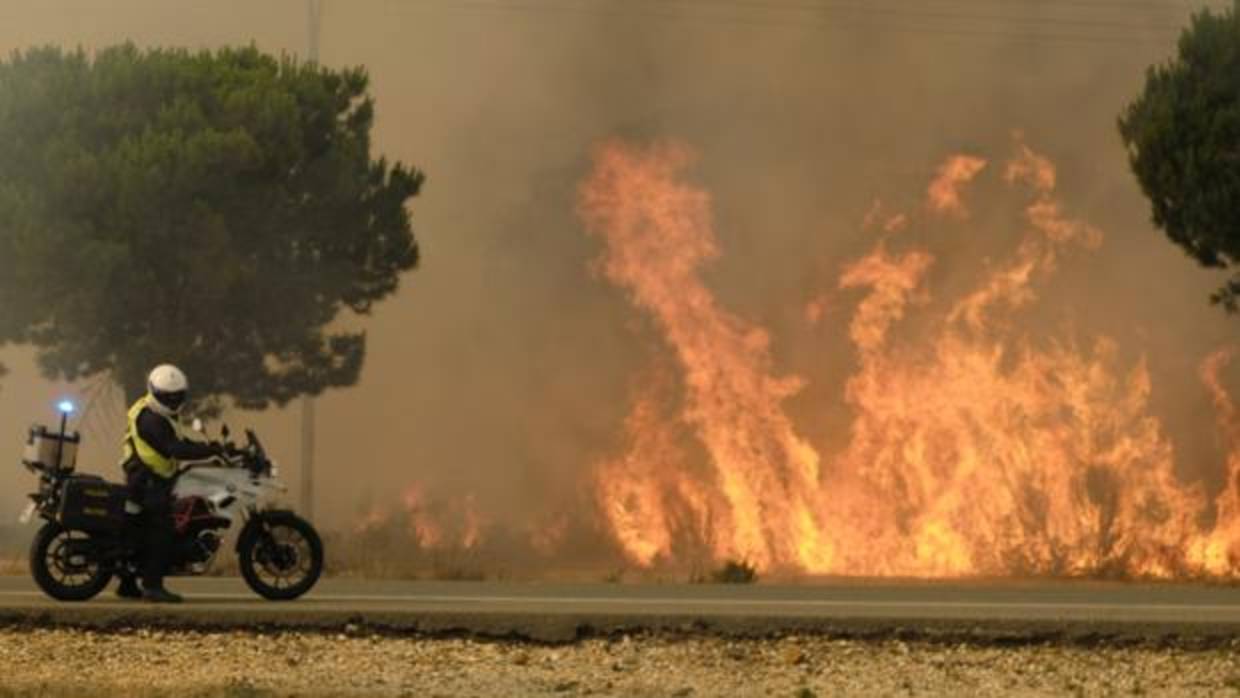 Llamas junto a la carretera en el incendio de Moguer