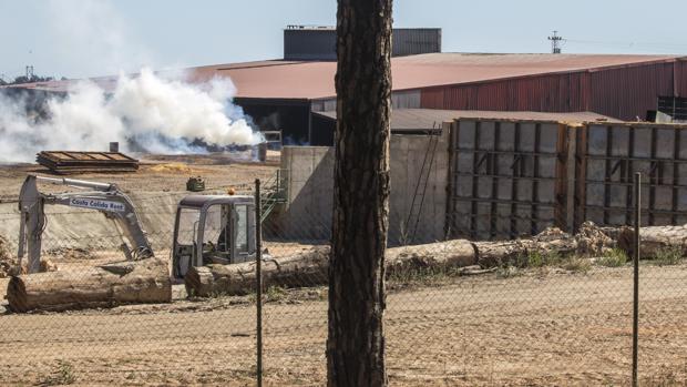 La actividad en la carbonera no cesaba el pasado sábado