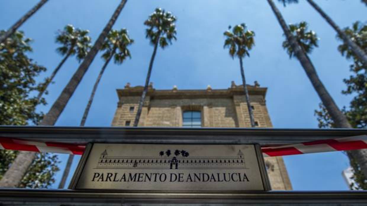 Palmeras frente al Parlamento andaluz