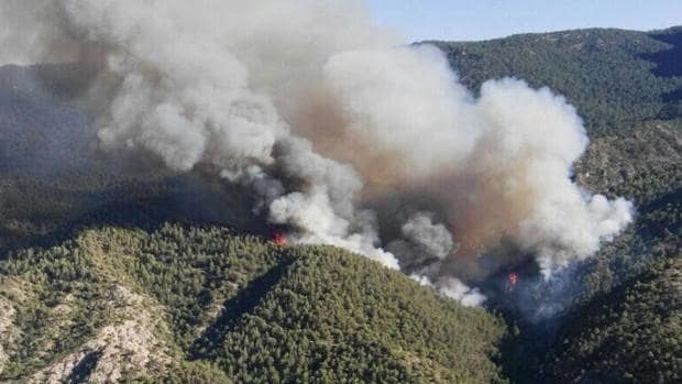 Un incendio pone en peligro el corazón del
Parque natural de Cazorla, Segura y Las Villas