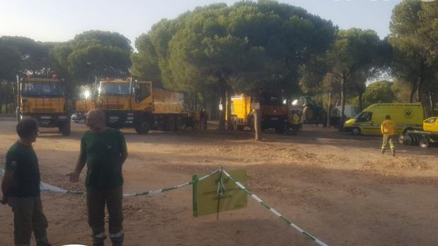 Infoca da por estabilizado el incendio de Cartaya