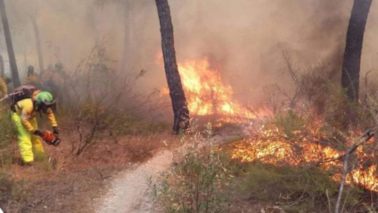 Efectivos del INFOCA tratan de extinguir el incendio en Cartaya