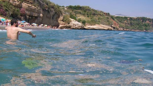 Una promesa de un mar sin nata