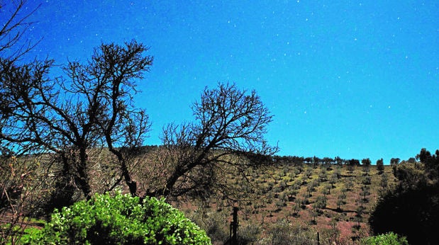 El cielo de Los Pedroches, una escuela para futuros astrónomos en la provincia de Córdoba