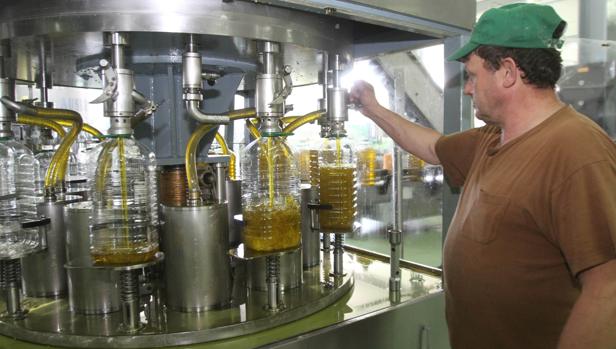 El alto precio del aceite de oliva eleva hasta el récord la cifra de exportaciones en Córdoba
