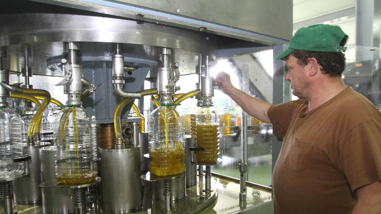 Un trabajador en una empresa de aceite de oliva de la provincia cordobesa