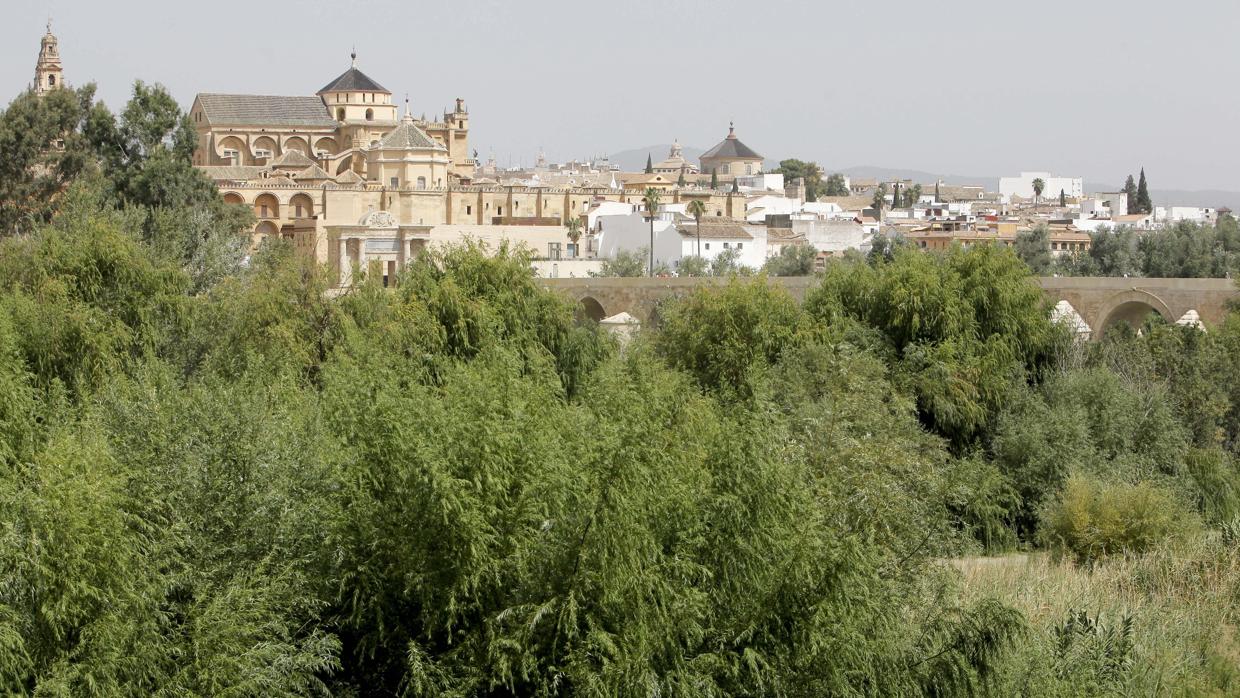 Vista de la Mezquita tapada por los árboles del Soto de la Albolafia