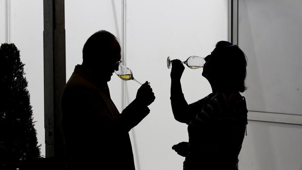 Las exportaciones de vino de Córdoba crecen un 15,7%  y superan los 3,9 millones de euros