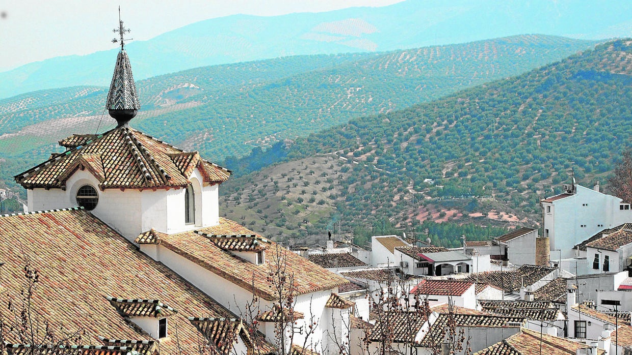 Vista de olivares en el municipio de Priego de Córdoba