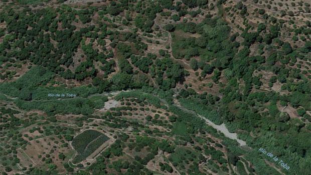 Muere un hombre de 54 años tras subirse a un árbol y caer por un barranco en Los Guájares (Granada)