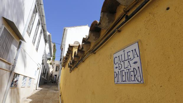 Córdoba a través de sus adarves