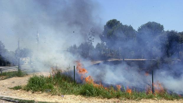 Intoxicado por humo un hombre al intentar sofocar un fuego agrícola