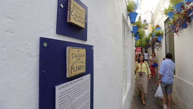 ¿Qué puedes hacer en el Festival de las Callejas de Córdoba?
