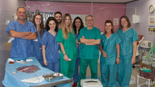 Susana Díaz, «muy orgullosa» del equipo del Virgen del Rocío por el nacimiento del «bebé medicamento»